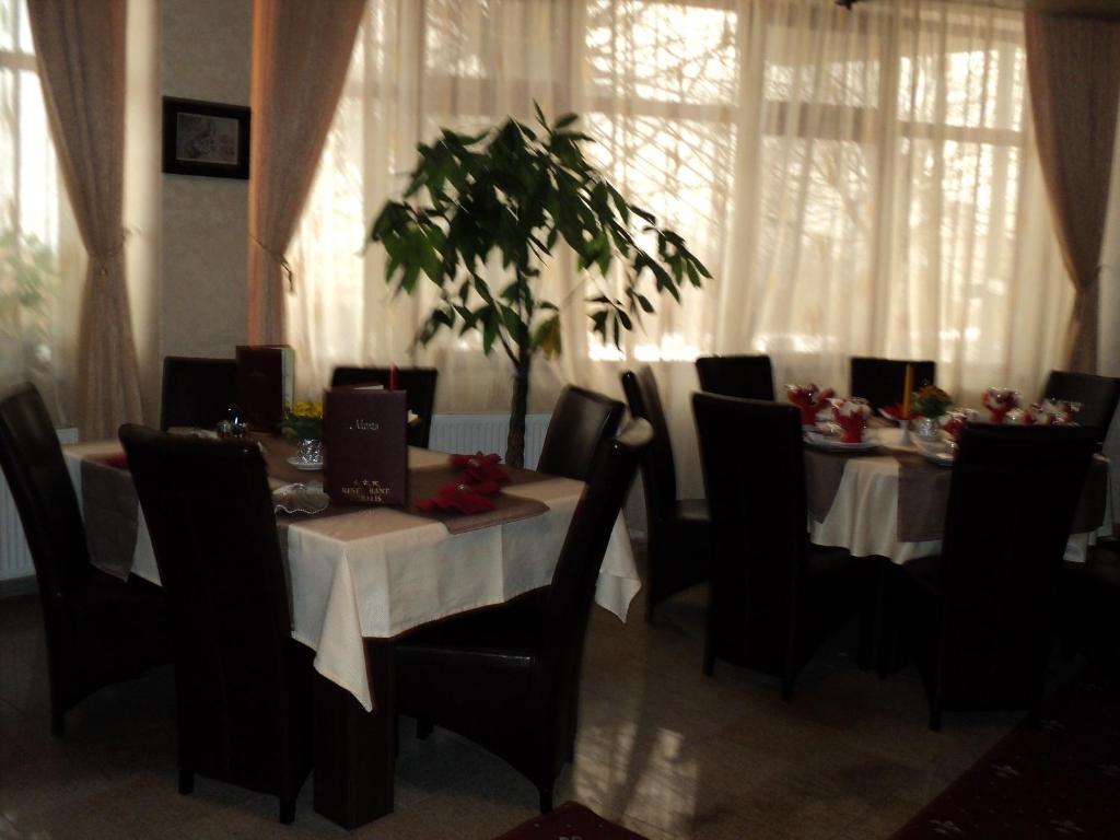 Hotel Coralis Eforie Nord Extérieur photo